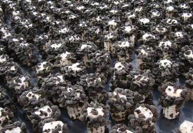 圖片關鍵詞 圖片關鍵詞