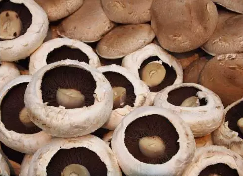 圖片關鍵詞 http://m.daylei.com/ewebeditor/uploadfile/20170914091257506001.png