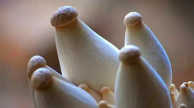 圖片關鍵詞 http://m.daylei.com/ewebeditor/uploadfile/20170914091357269001.png