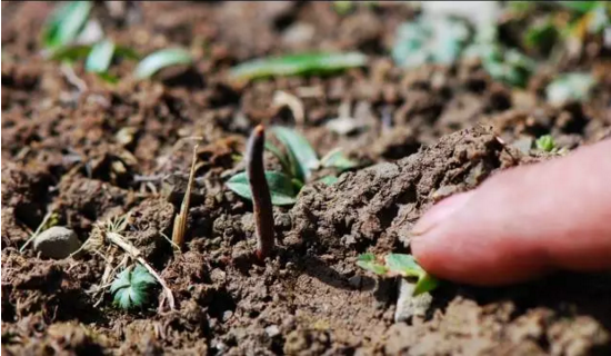 圖片關鍵詞 http://m.daylei.com/ewebeditor/uploadfile/20180814102741148001.png