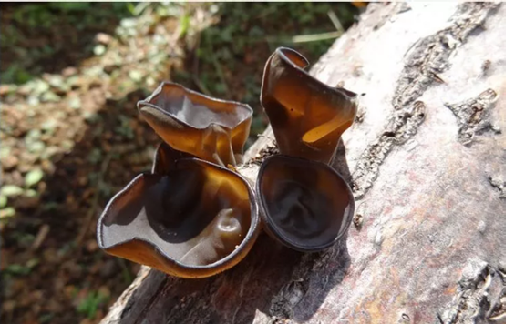 圖片關鍵詞 圖片關鍵詞