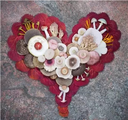 圖片關鍵詞 圖片關鍵詞