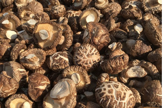 圖片關鍵詞 圖片關鍵詞