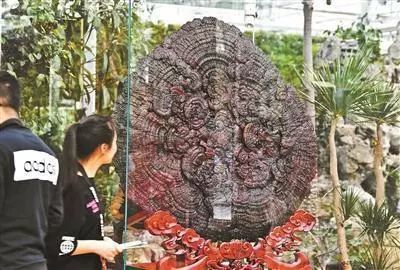 圖片關鍵詞 圖片關鍵詞