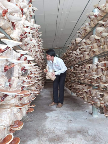 圖片關鍵詞 http://www.mushroommarket.net/file/upload/202001/02/08-38-40-83-283825.png