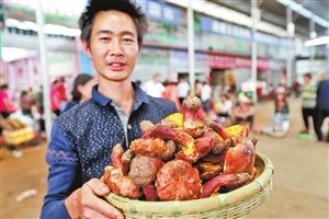 圖片關鍵詞 圖片關鍵詞