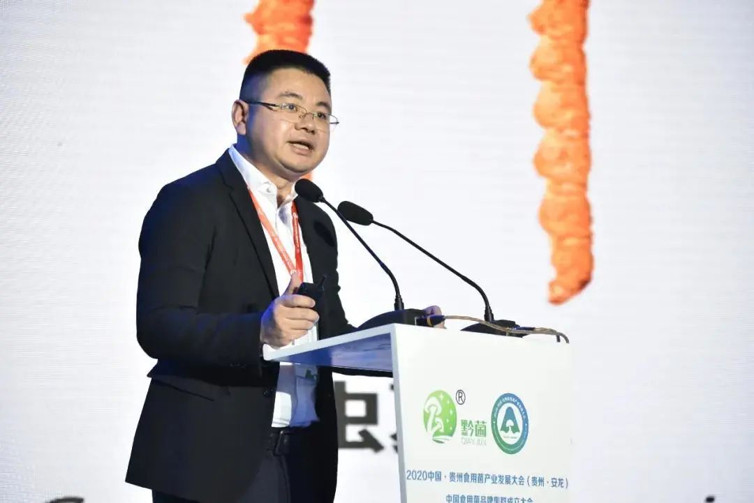 圖片關(guān)鍵詞 https://mmbiz.qpic.cn/mmbiz_jpg/tViaTicjwibVZmgEXXCALToc7mAB2rFo1LnbqdTZUg3ib087TUYjQeBvr5eCfJ7gtxTs9UerZmicJpjGkSUD4WTyK4w/640?wx_fmt=jpeg