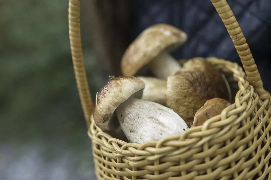 圖片關鍵詞 圖片