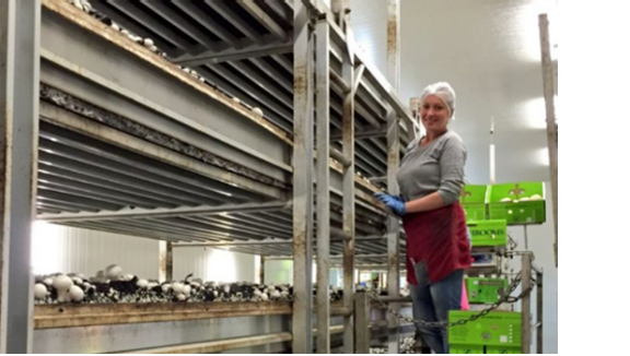 圖片關鍵詞 圖片關鍵詞