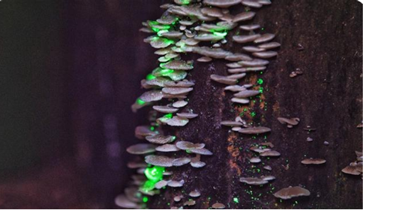 圖片關(guān)鍵詞 圖片關(guān)鍵詞