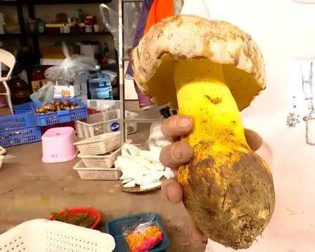 圖片關(guān)鍵詞 圖片