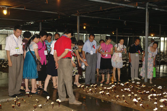 圖片關(guān)鍵詞 圖片關(guān)鍵詞