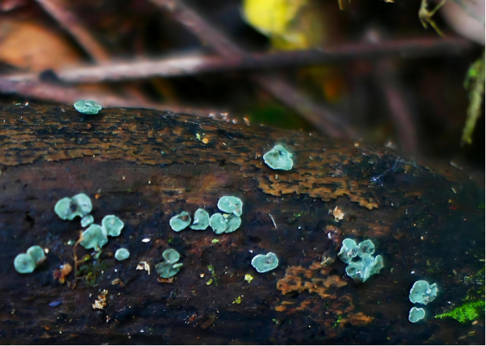 圖片關(guān)鍵詞 圖片關(guān)鍵詞